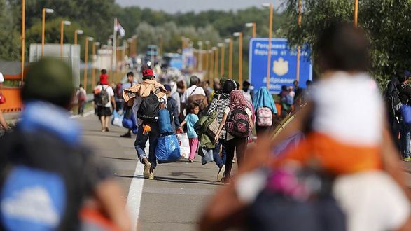 В Германии расследуют причастность Лукашенко к контрабанде мигрантов